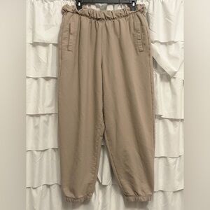 Aerie Jet Setter Jogger Pants NWOT